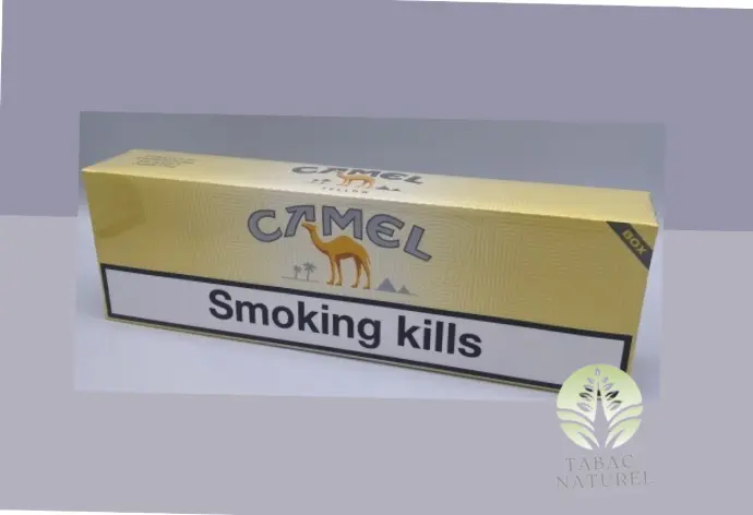 Cartouche de cigarettes Camel (10 paquets de 20 cigarettes)