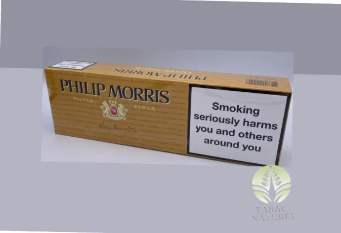 Cartouche de Cigarettes Philip Morris - 10 Paquets de 20 Cigarettes